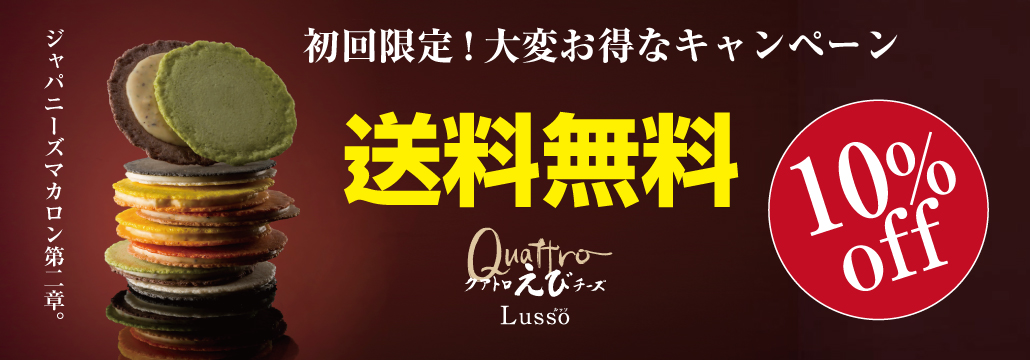 �N�A�g�����у`�[�Y���b�\24�ܓ���������10%OFF